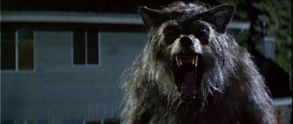 The 25 Best Werewolf Movies of All Time :: Movies :: Lists 